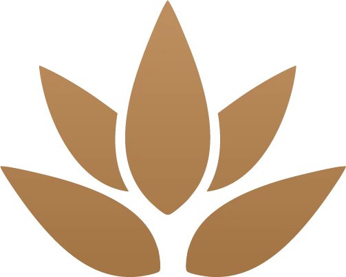 Lotus Infra icon